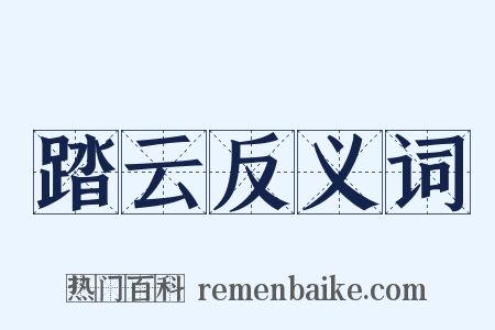 踏云反义词是什么意思的图片